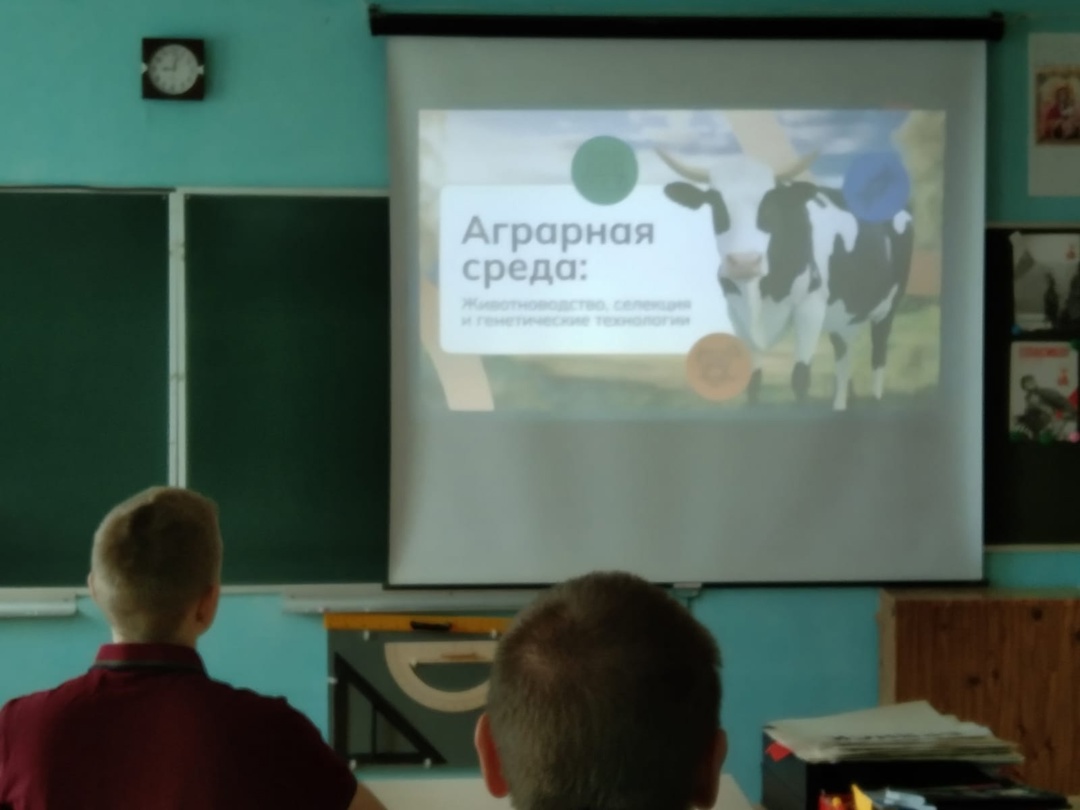 Россия – мои горизонты.